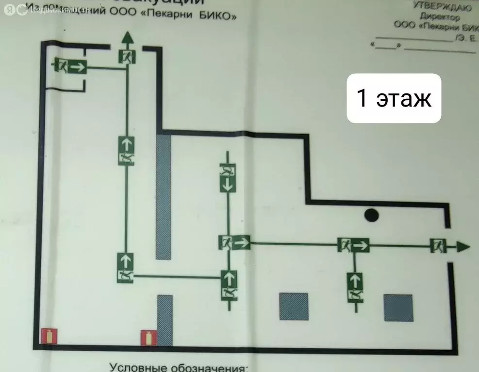 Помещение свободного назначения (286 м) - Фото 2