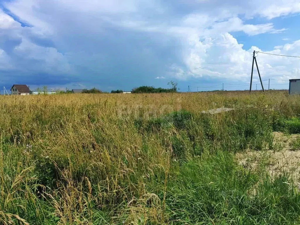 Участок в Ленинградская область, Ломоносовский район, Оржицкое с/пос, ... - Фото 1