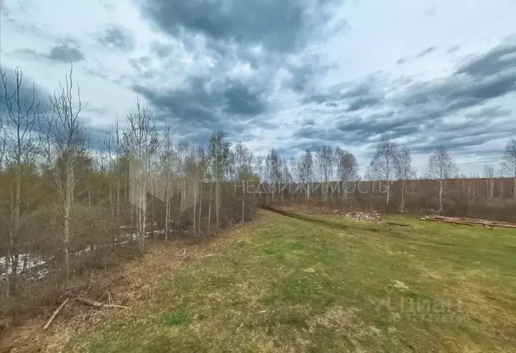 Участок в Тюменская область, Нижнетавдинский муниципальный округ, ... - Фото 2