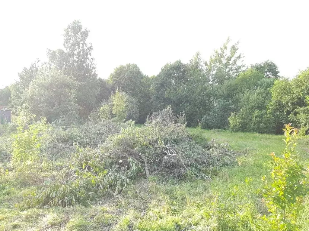 Участок в Московская область, Наро-Фоминский городской округ, Ветеран ... - Фото 1