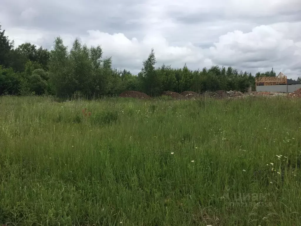 Участок в Московская область, Пушкинский городской округ, Софрино пгт ... - Фото 0