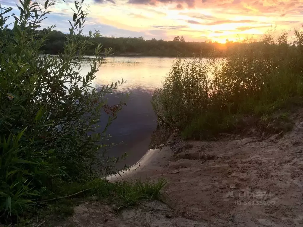 Белая гора Новгородская область. Деревня белая гора Новгородская область.