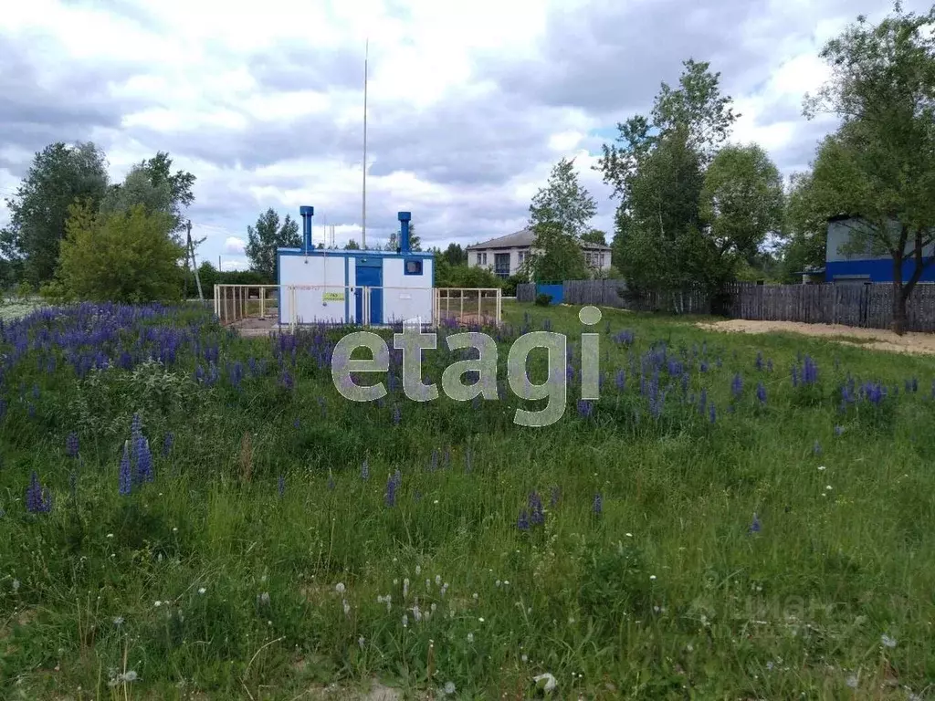 Участок в Владимирская область, Селивановский муниципальный округ, ... - Фото 1