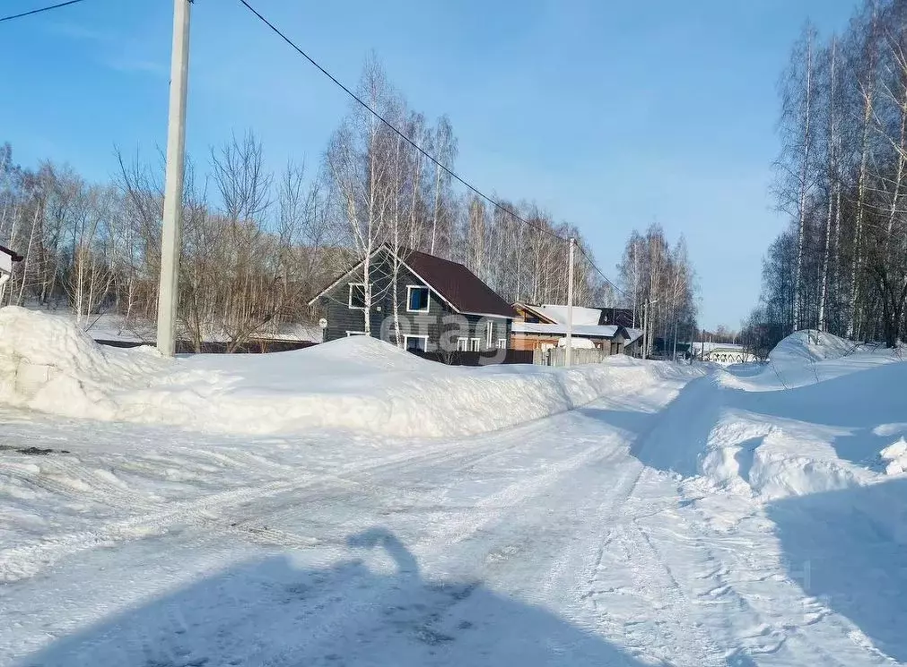 Участок в Новосибирская область, Новосибирский район, с. Раздольное ... - Фото 1