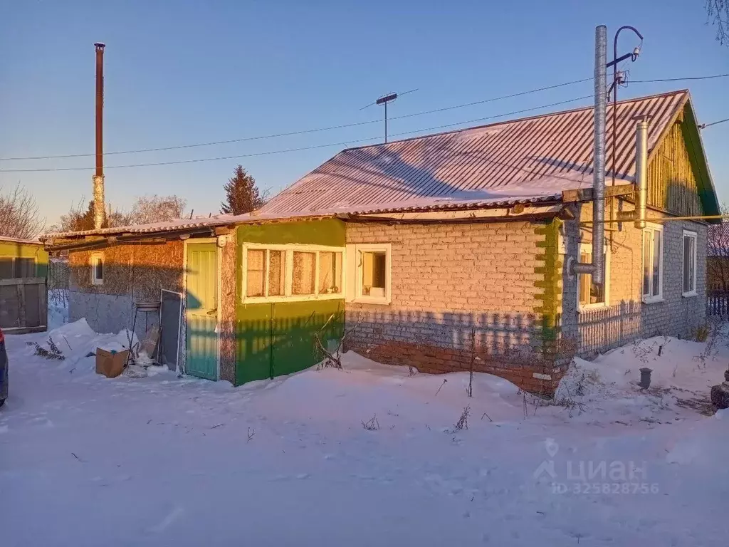 Дом в Омская область, Марьяновский район, с. Степное Западная ул. (66 ... - Фото 1