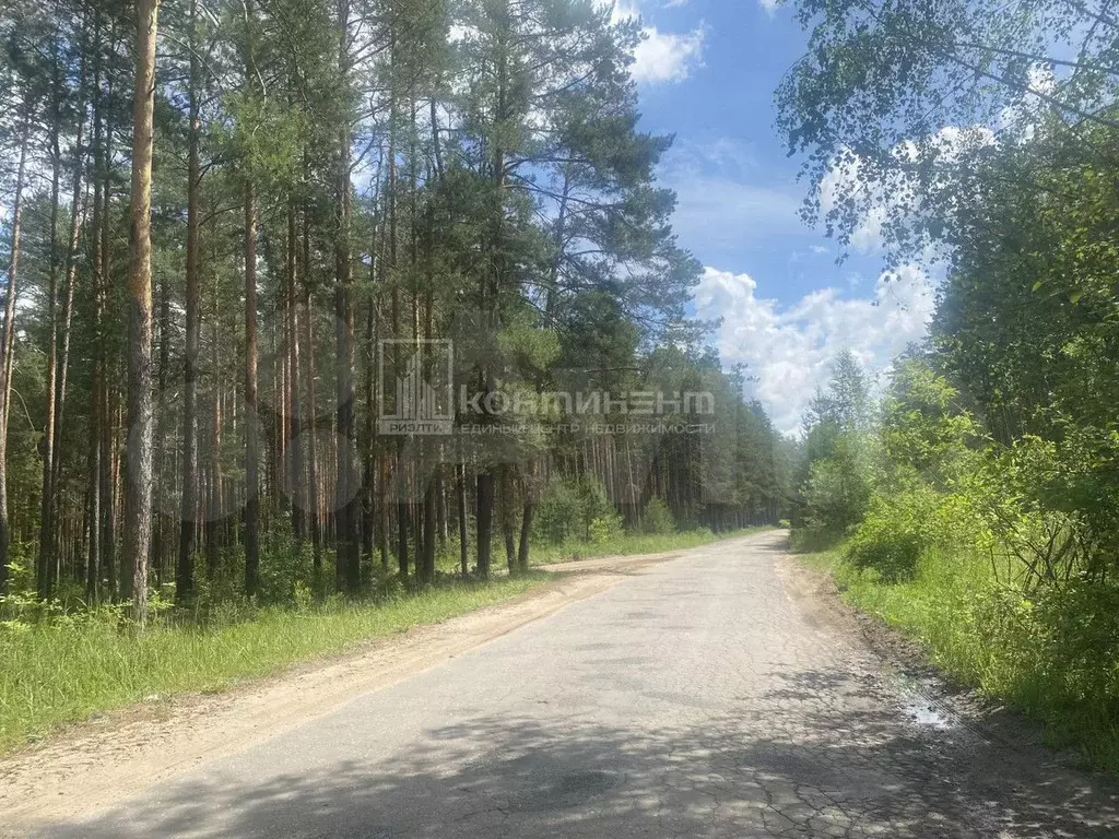 Участок 22 сот. (личное подсобное хозяйство (лпх)) - Фото 1