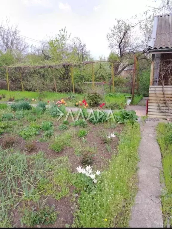 Участок в Ростовская область, Ростов-на-Дону Импульс садовое ... - Фото 2