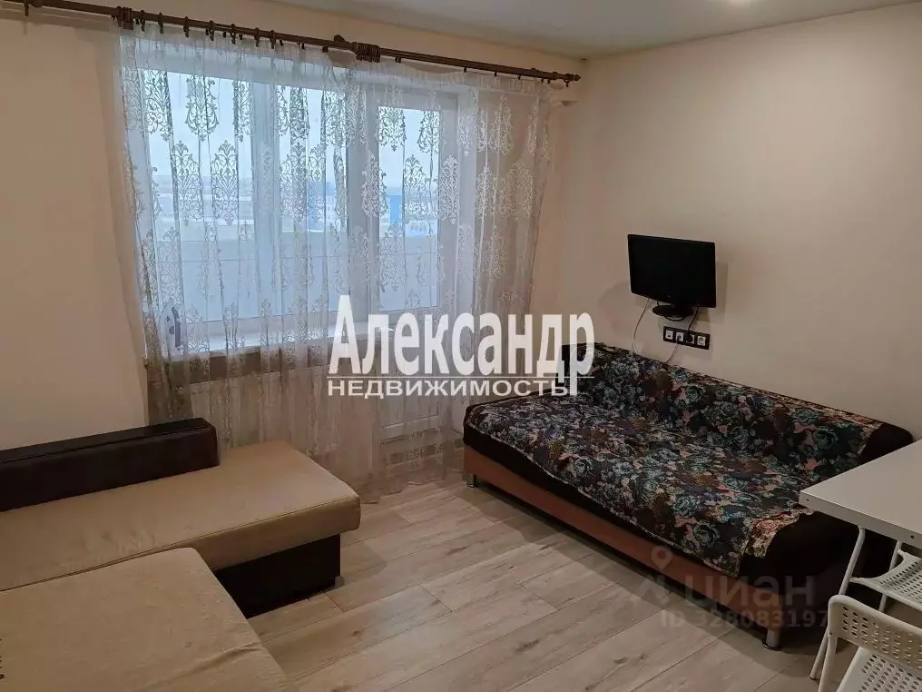 Студия Санкт-Петербург пос. Шушары, ул. Вишерская, 24 (26.0 м) - Фото 2