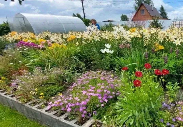 Дом в Челябинская область, Красноармейский муниципальный округ, ... - Фото 2