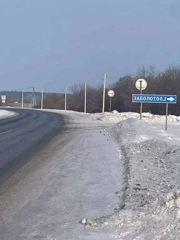 Участок в Пермский край, Пермский муниципальный округ, д. Заболото ул. ... - Фото 1