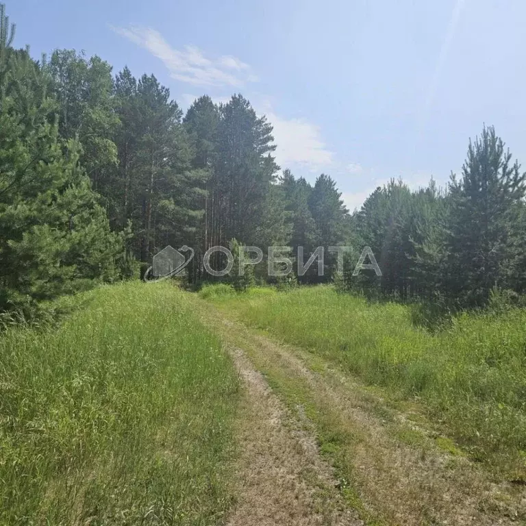 Участок в Тюменская область, Тюменский район, д. Ушакова Зеленая ул. ... - Фото 1