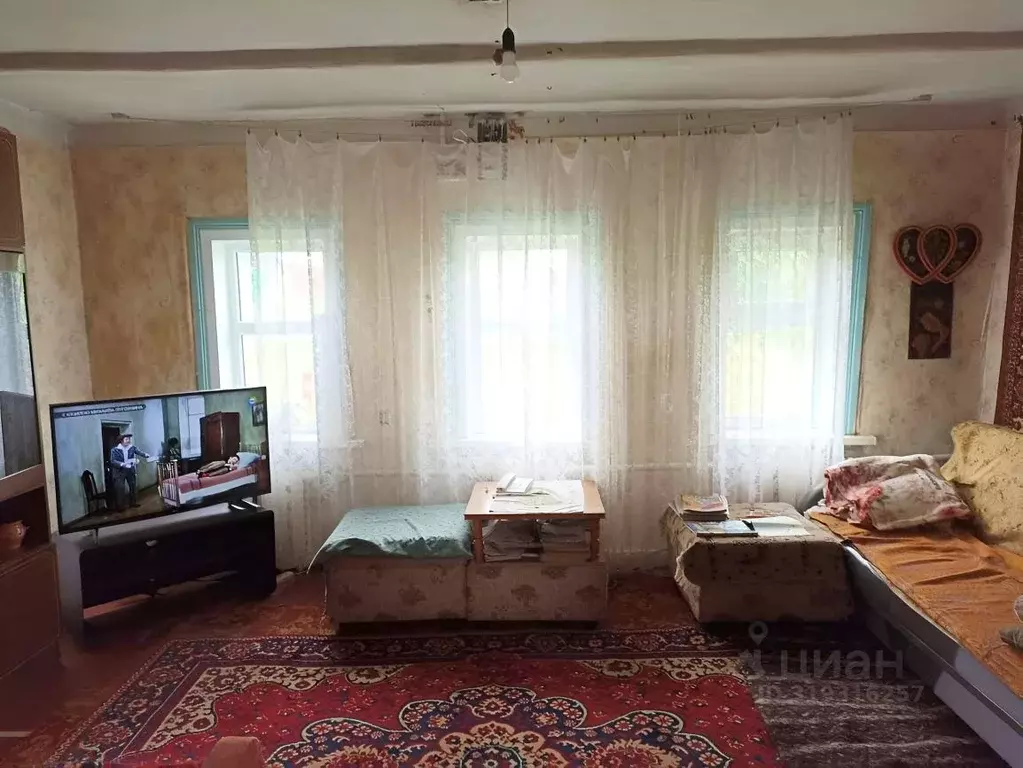 Дом в Воронежская область, Борисоглебский городской округ, с. Чигорак ... - Фото 2