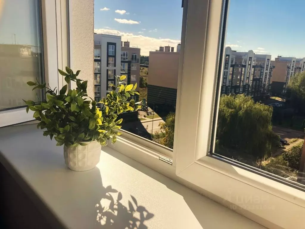 1-к кв. Калининградская область, Пионерский ул. Гептнера, 15 (22.0 м) - Фото 1