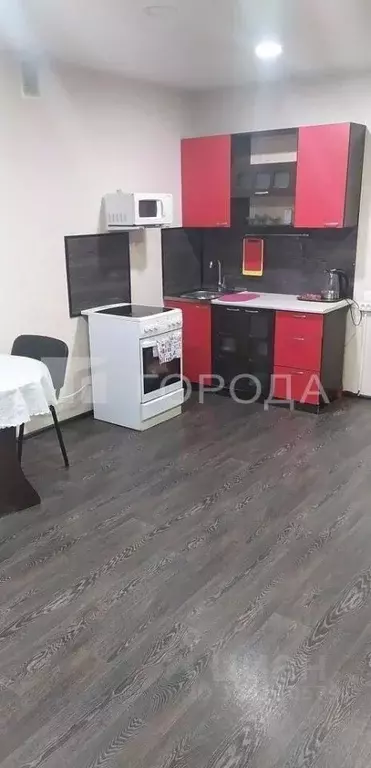 Студия Новосибирская область, Новосибирск Северо-Чемской жилмассив, ... - Фото 1