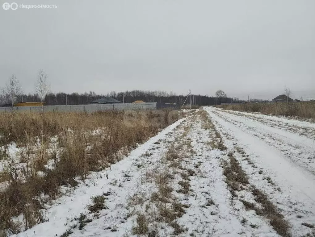 Участок в Тугулымский городской округ, село Лучинкино, Новая улица ... - Фото 1