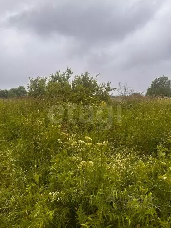 Участок в Вологодская область, пос. Фетинино  (13.81 сот.) - Фото 1