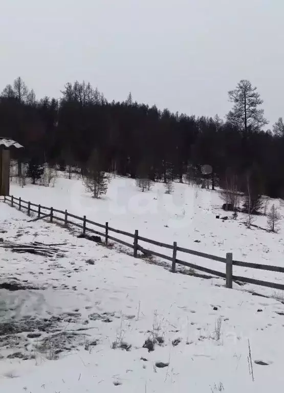 Участок в Алтай, Шебалинский район, с. Шебалино  (372.66 сот.) - Фото 1