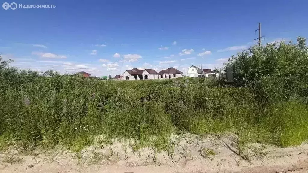 Участок в Тюменский муниципальный округ, село Червишево (15 м) - Фото 2