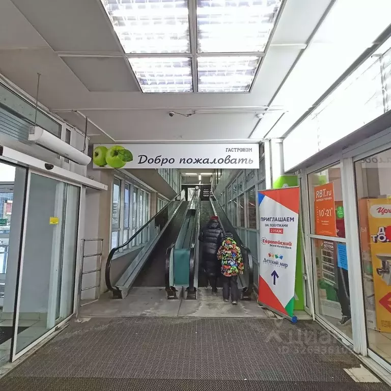 Торговая площадь в Удмуртия, Ижевск Пушкинская ул., 130 (3500 м) - Фото 2