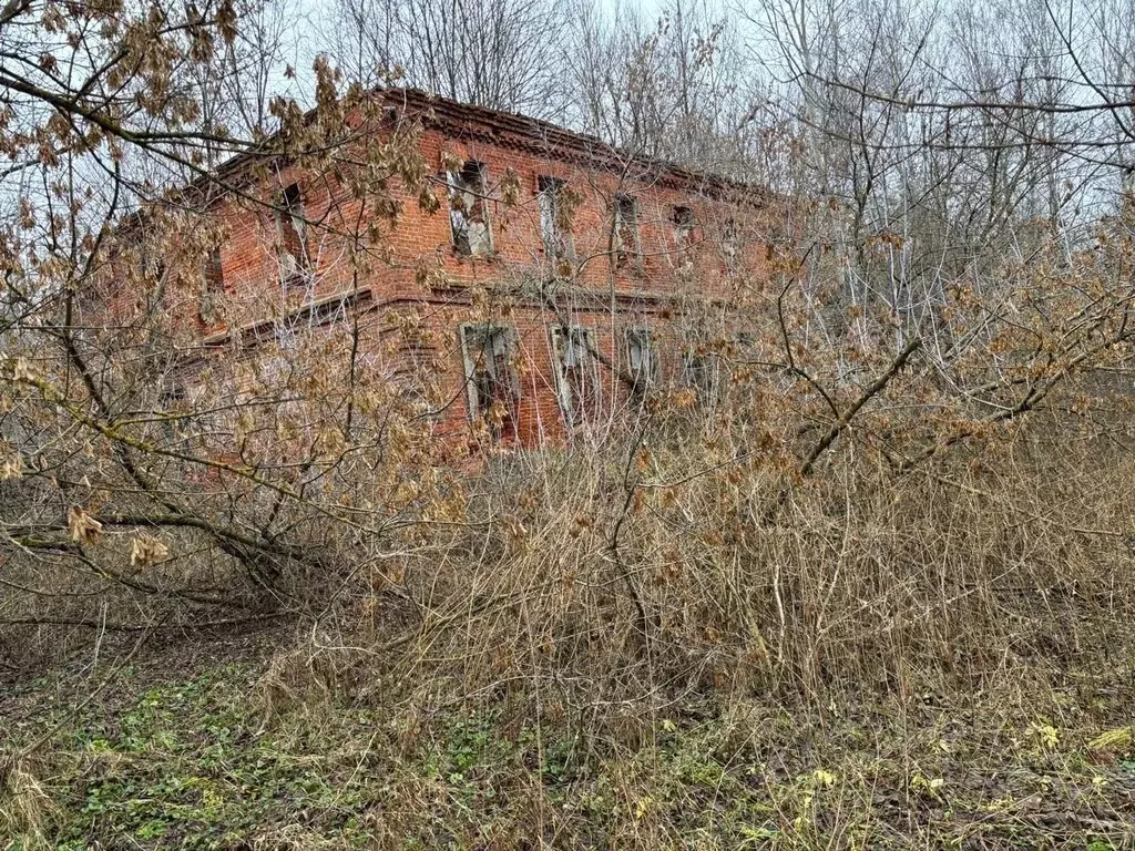 Участок в Владимирская область, Гороховецкий муниципальный округ, д. ... - Фото 2