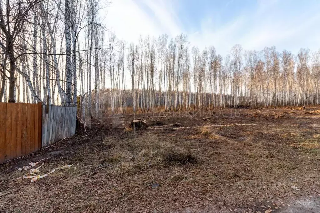 Участок в Тюменская область, Тюменский район, Искатель садовое ... - Фото 0