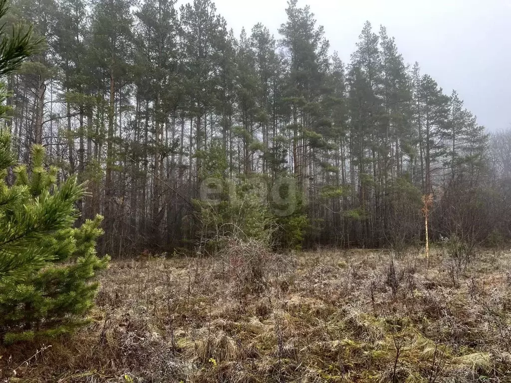 Участок в Тамбовская область, Тамбовский муниципальный округ, с. ... - Фото 2