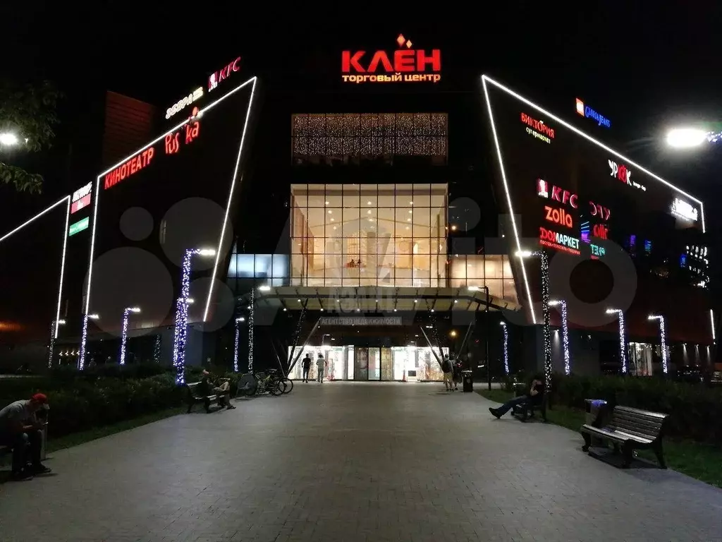 Помещение свободного назначения 230 кв.м - Фото 1
