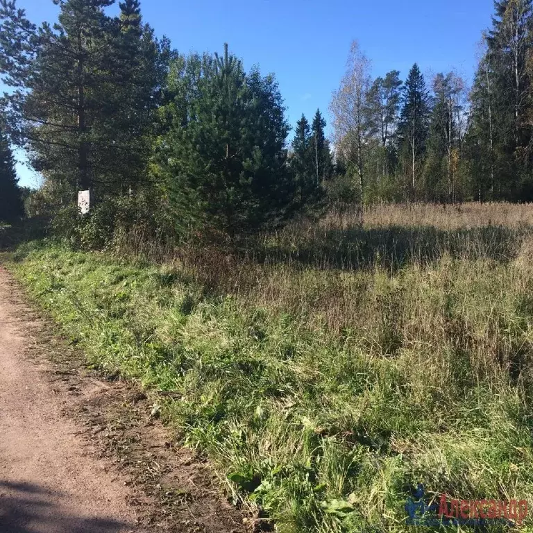 Участок в Ленинградская область, Выборгский район, Советское городское ... - Фото 1