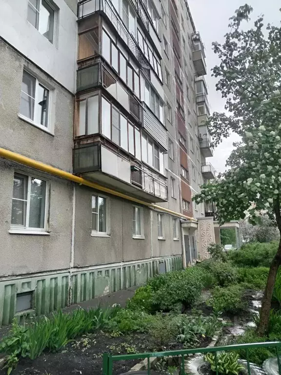 1-к кв. Нижегородская область, Нижний Новгород ул. Баумана, 58 (33.0 ... - Фото 0