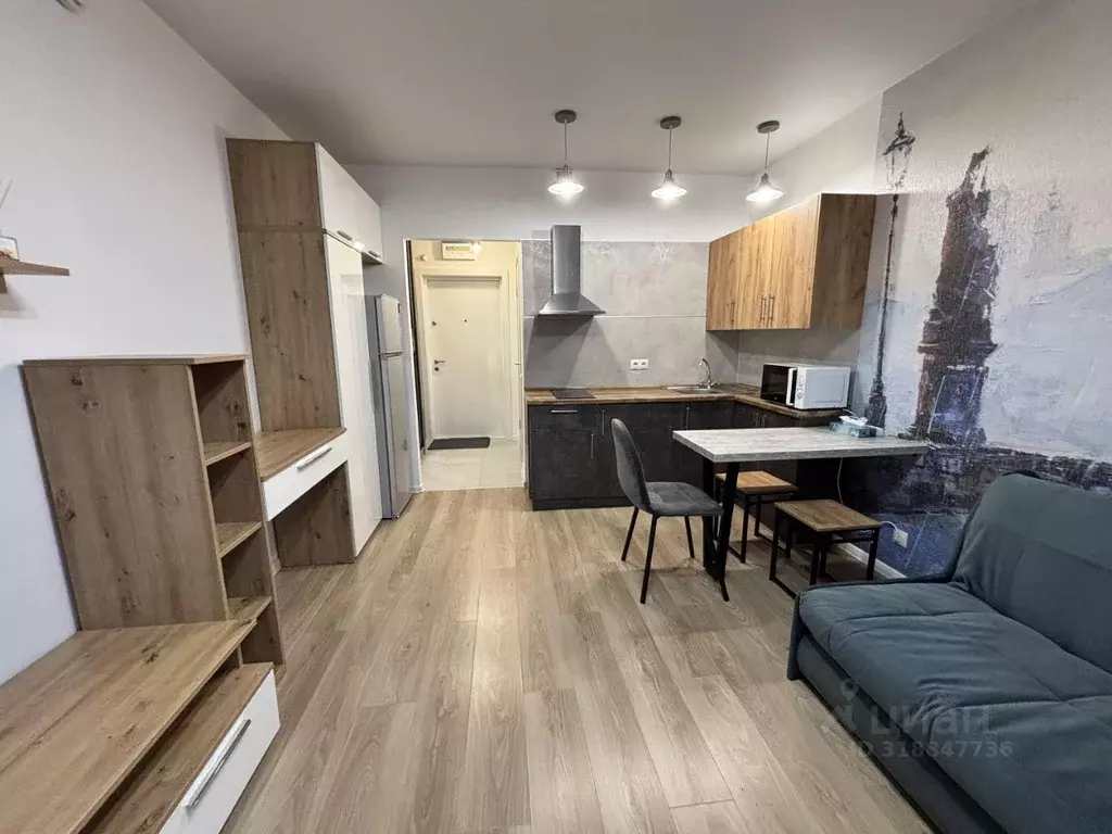 Студия Московская область, Котельники Парковый мкр, 1к20 (25.0 м) - Фото 1
