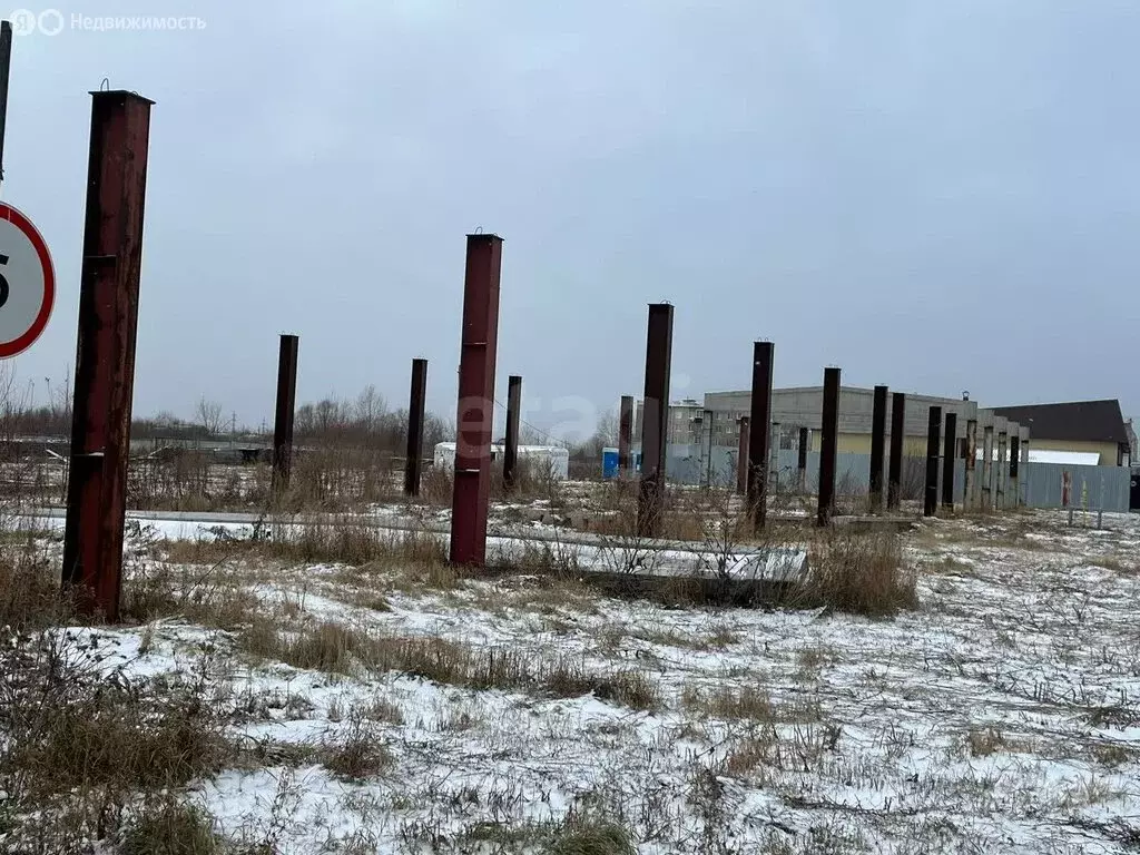 Участок в Шадринск, посёлок Новый, Кооперативная улица (53.72 м) - Фото 2