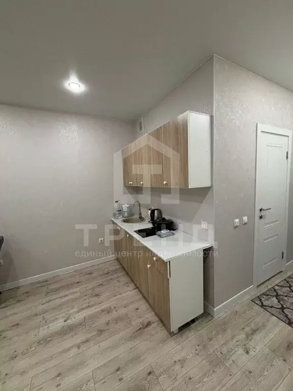 Студия Санкт-Петербург пос. Шушары, просп. Старорусский, 8к2 (22.4 м) - Фото 1