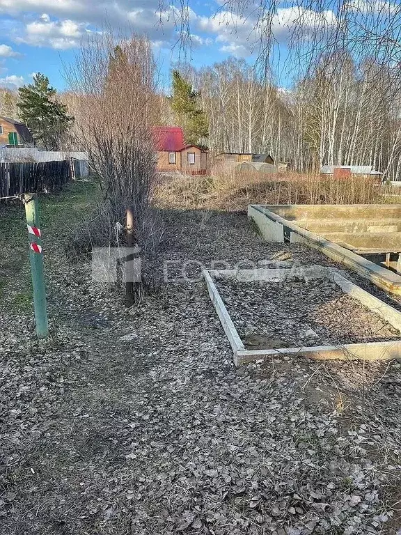 Участок в Новосибирская область, Новосибирск Ландыш садовое ... - Фото 1