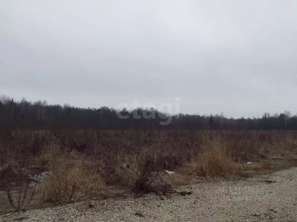 Участок в Брянская область, Брянский район, Новодарковичское с/пос, д. ... - Фото 0