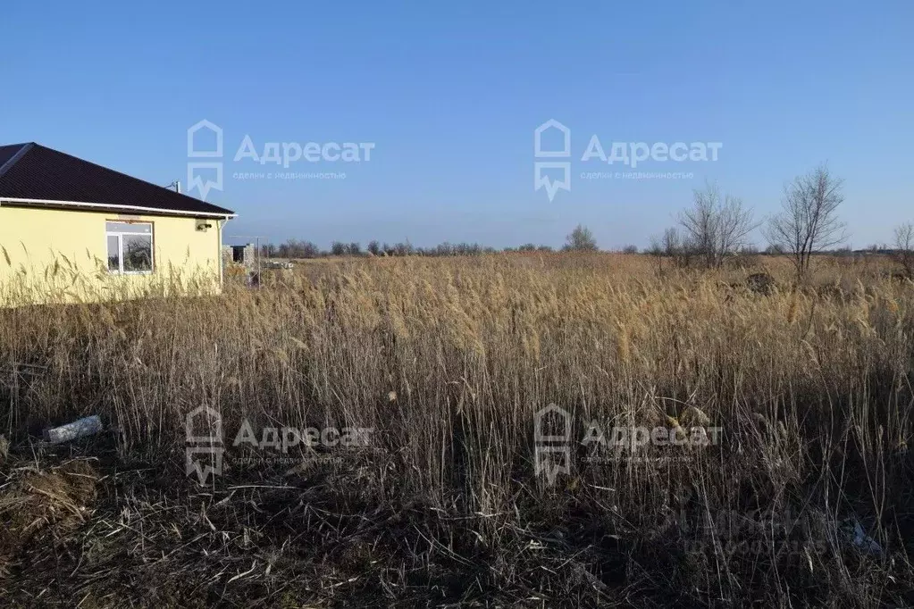 Участок в Волгоградская область, Краснослободск Среднеахтубинский ... - Фото 1