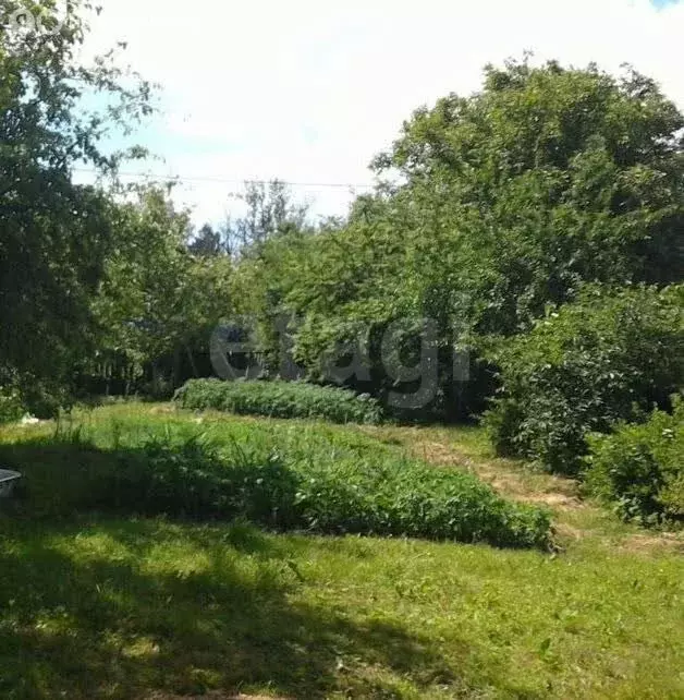 Участок в Калининград, СНТ Утро, Озёрная улица (6.7 м) - Фото 1