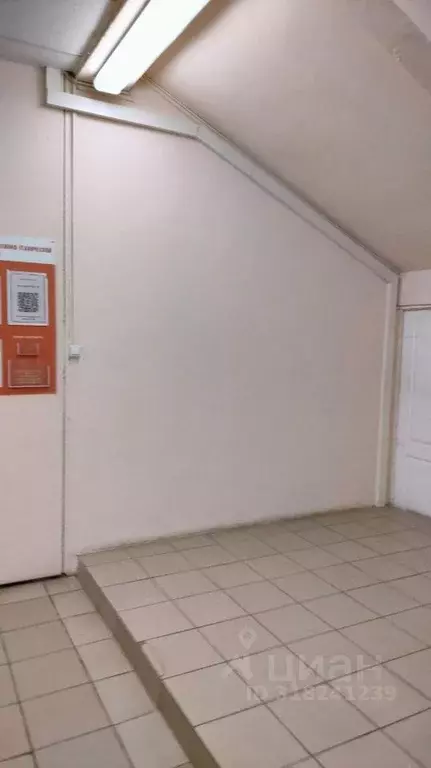Помещение свободного назначения в Саха (Якутия), Якутск ул. Аммосова, ... - Фото 1