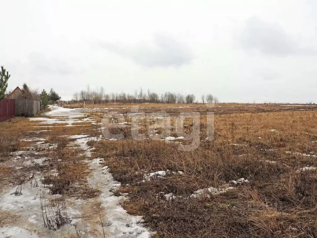 Участок в Владимирская область, Муром д. Волнино,  (16.0 сот.) - Фото 1