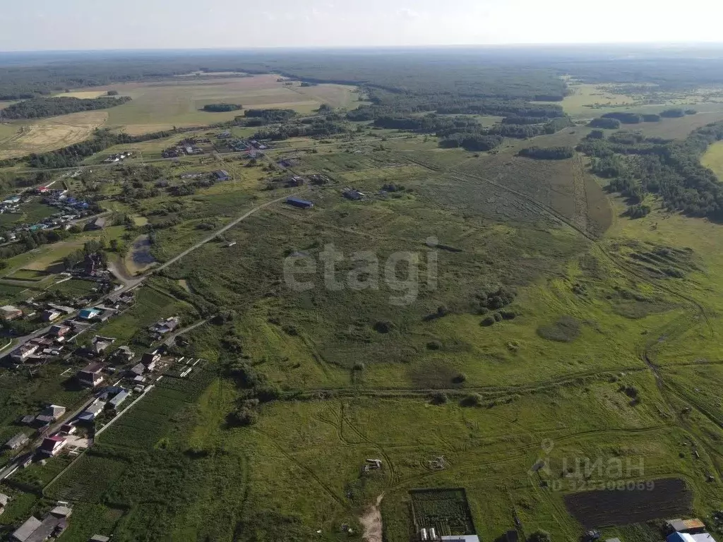 Участок в Свердловская область, Слободо-Туринский район, ... - Фото 2