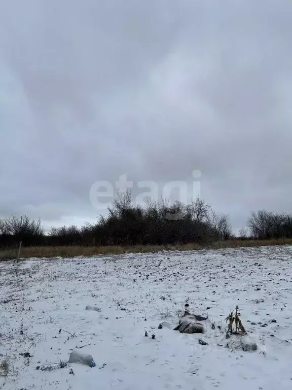 Участок в Белгородская область, Корочанский муниципальный округ, ... - Фото 1