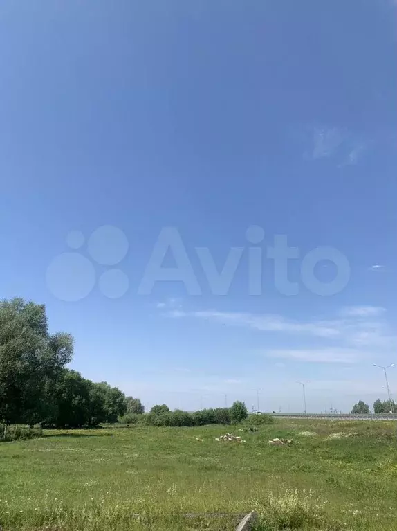 Участок 6 сот. (СНТ, ДНП) - Фото 0