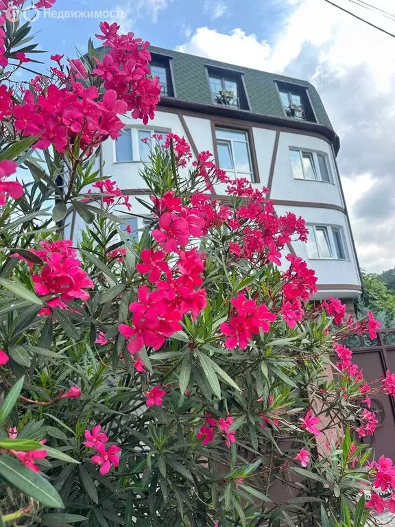 2-комнатная квартира: Дагомыс, Армавирская улица, 154/3 (38 м) - Фото 1