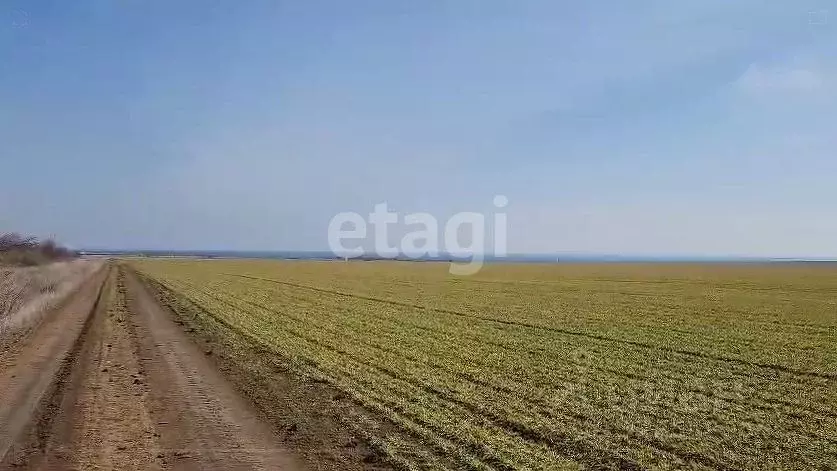 Участок в Крым, Черноморский район, с. Окуневка  (100.0 сот.) - Фото 1