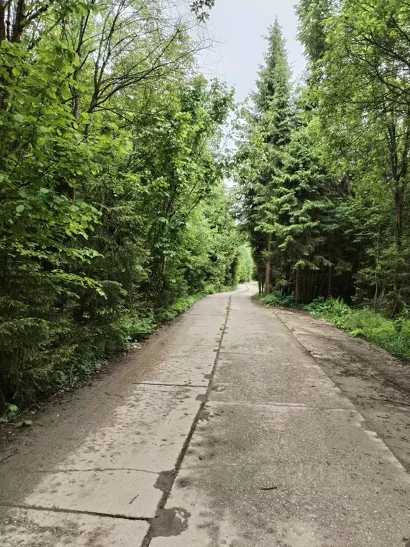 Участок в Москва № 185 кв-л, 392 (12.0 сот.) - Фото 2
