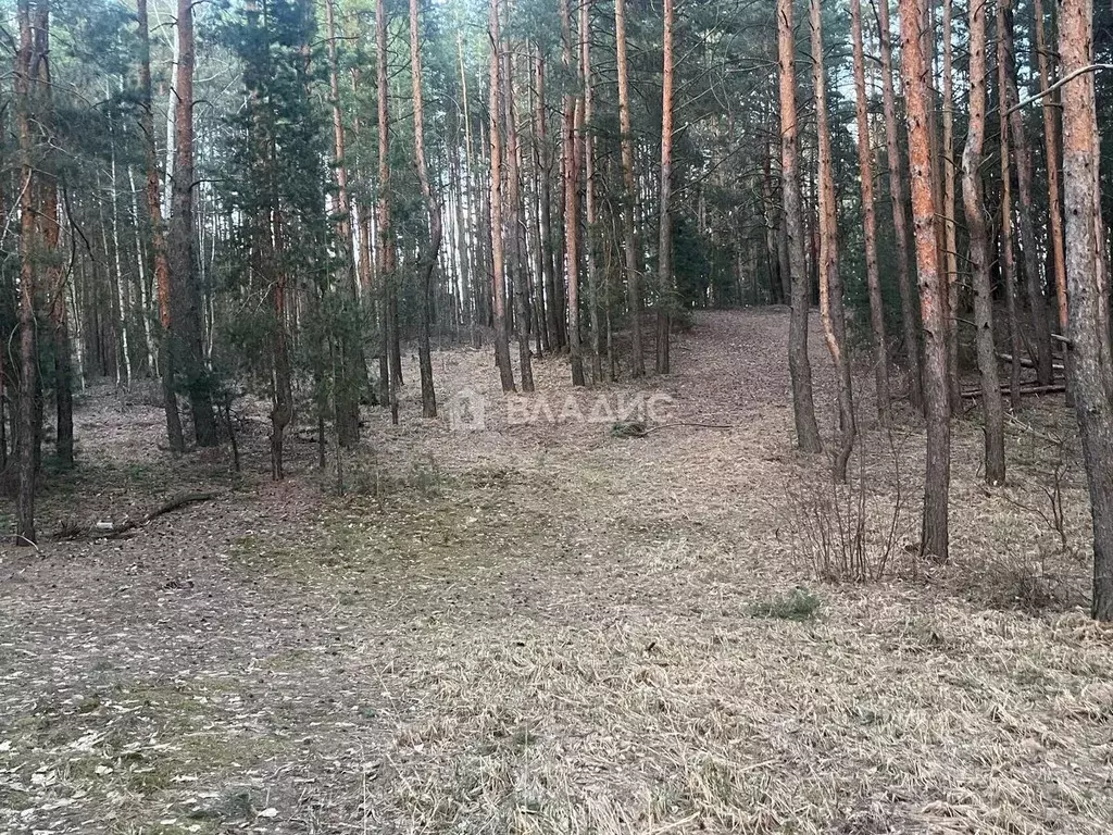 Участок в Тамбовская область, Знаменский муниципальный округ, с. ... - Фото 1