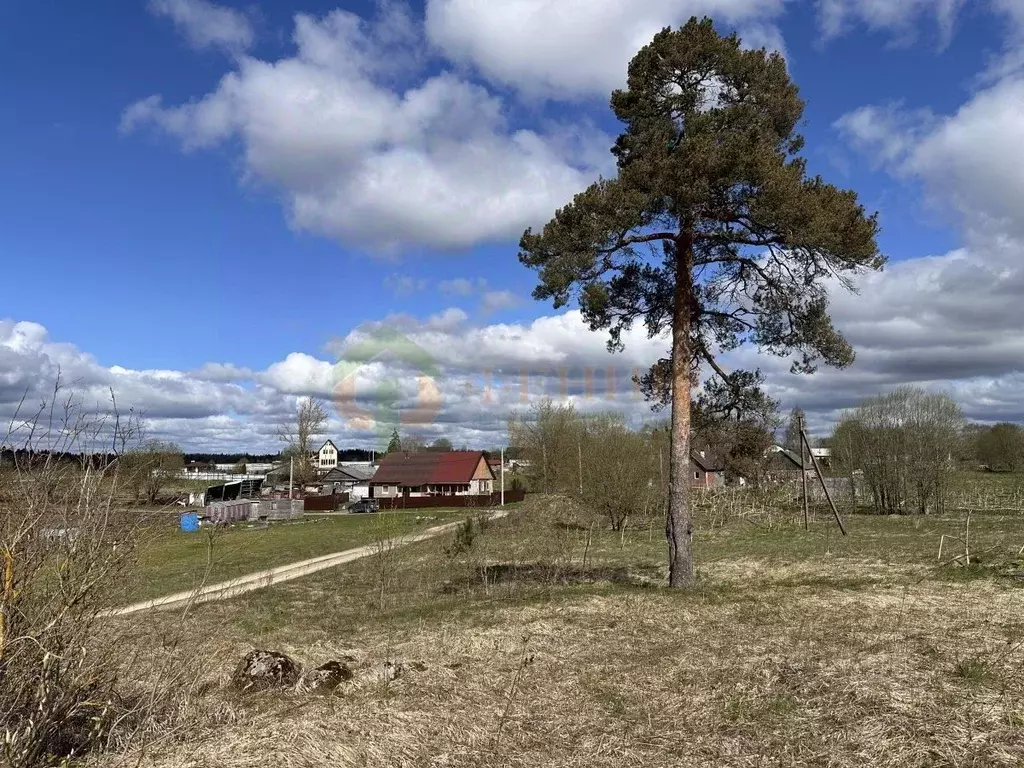 Участок в Ленинградская область, Волосовский район, Большеврудское ... - Фото 1