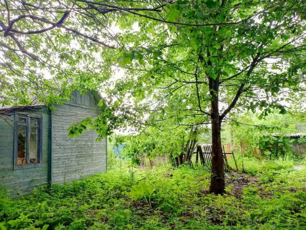 Дом в Ярославская область, Ярославский муниципальный округ, Волгарь ... - Фото 1
