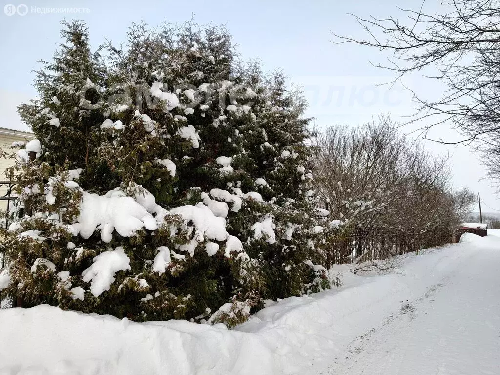 Дом в деревня Дьяконовское, 50 (249.7 м) - Фото 1