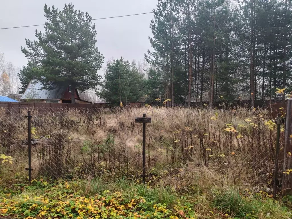 Участок в Московская область, Красногорск городской округ, Нахабино ... - Фото 2