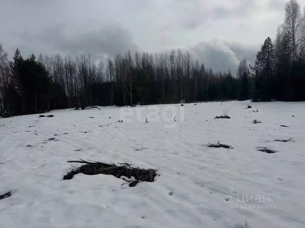 Участок в Кировская область, Кирово-Чепецкий район, Пасеговское с/пос, ... - Фото 2